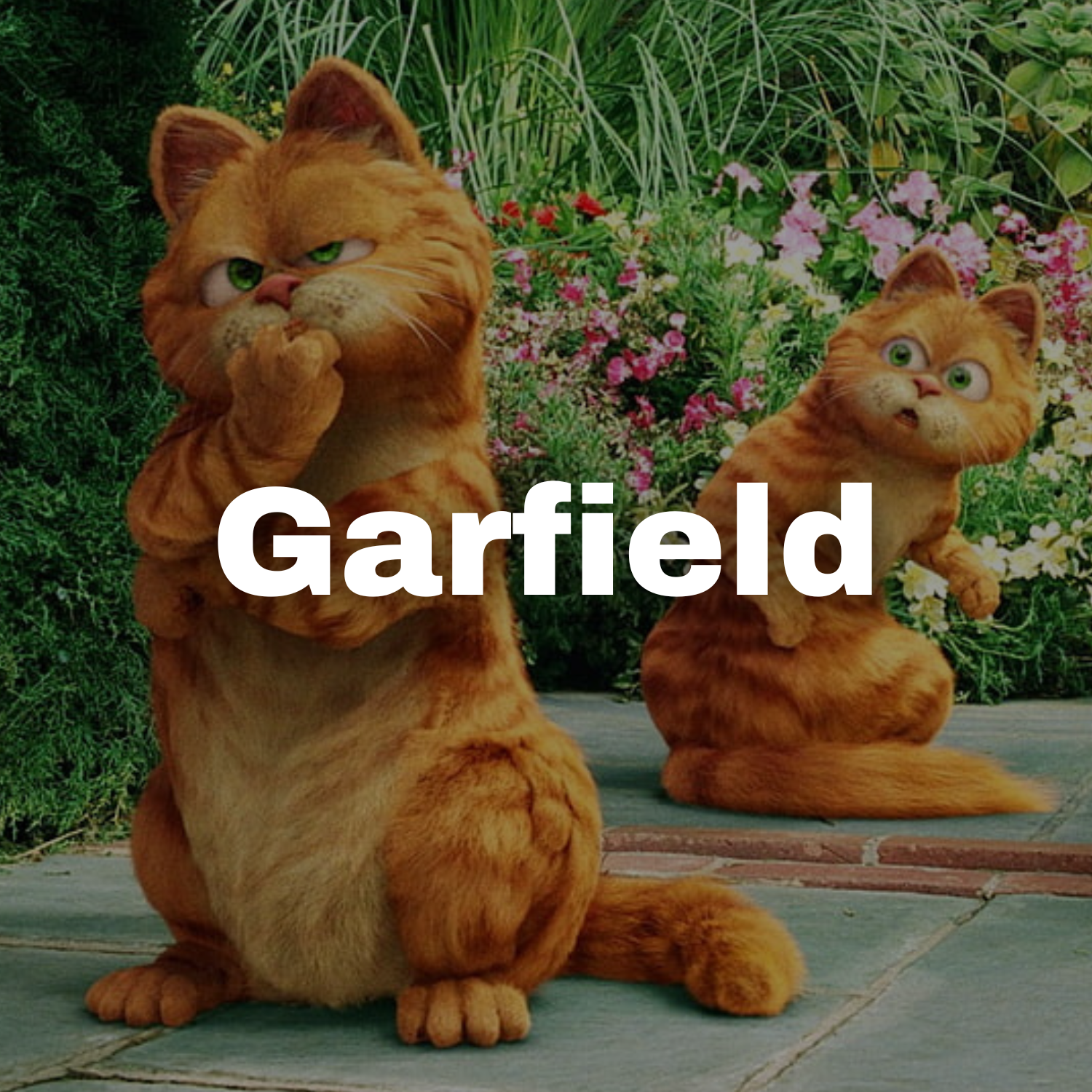 Garfield Collection